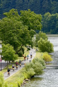 Biking along Germany's Mosel River