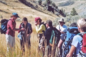 Guided tour in Yellowstone National ParK