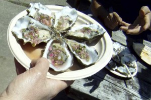 Oysters at the Angel Island Cafe