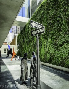 SFMOMA Living Wall