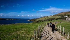 Sacred Earth Journeys in Ireland