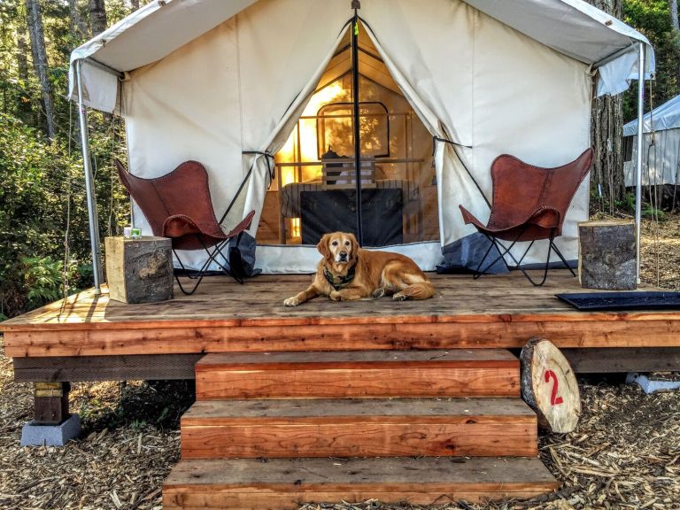 Glamping in the California Wine Country