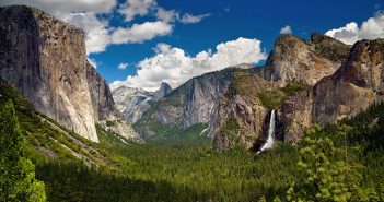 Springtime in Yosemite National Park: Wildflowers and Waterfalls
