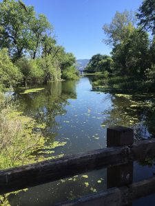 A tranquil fishing lagoon at Clear Lake State Park.